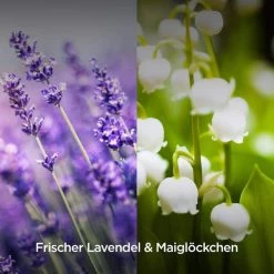 Airwick Raumduft Duftspray, 237 Ml, Geruchsneutralisierend, Lavendel & Maiglöckchen 10 Airwick Raumduft Duftspray, 237 Ml, Geruchsneutralisierend, Lavendel & Maiglöckchen -Haushaltsprodukte Geschäft 0bcfc7788d6365d46cb9ed0ed7beddc3442c879e raumduft airwick duftspray 237 ml