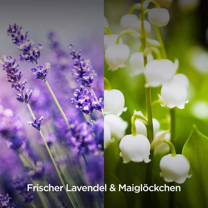 Airwick Raumduft Duftspray, 237 Ml, Geruchsneutralisierend, Lavendel & Maiglöckchen 4 Airwick Raumduft Duftspray, 237 Ml, Geruchsneutralisierend, Lavendel & Maiglöckchen - Image 4