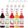 Monin Sirup Cocktail-Set 5+5, 5x Cocktail-Sirup, Je 700ml, 5x Dosierpumpe
