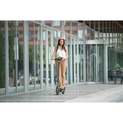 Segway-Ninebot E-Scooter F20D, 20km/h, Traglast 100kg, Straßenzulassung, Reichweite 20km 13 Segway-Ninebot E-Scooter F20D, 20km/h, Traglast 100kg, Straßenzulassung, Reichweite 20km -Haushaltsprodukte Geschäft 3bf3daf7bc032e89007e9f817b442150952d7087 e scooter segway ninebot f20d 20kmh