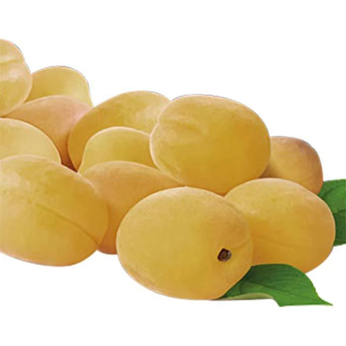 Morgenland Trockenfrüchte Süße Aprikosen, BIO, 500g 2 Morgenland Trockenfrüchte Süße Aprikosen, BIO, 500g - Image 2