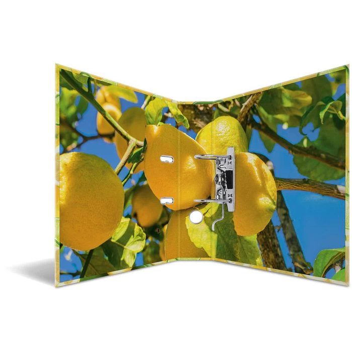 Herma Ordner 7114 Früchte, Karton, A4, 7cm, Motiv Zitrone 2 Herma Ordner 7114 Früchte, Karton, A4, 7cm, Motiv Zitrone - Image 2