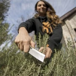 Gerber Klappmesser Flatiron 177312, Klingenlänge 8cm, Kunststoff, Sandfarben -Haushaltsprodukte Geschäft 522d259648c1a672f84145d2fa75c6a84871d132 klappmesser gerber flatiron 177312