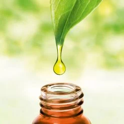 Primavera Duftöl Schlafwohl Duftmischung Bio, Entspannung & Ruhe, Für Duftlampen, 5 Ml -Haushaltsprodukte Geschäft 598bd5279802b72d46e2702723173084a8b505fa duftoel primavera schlafwohl duftmischung bio