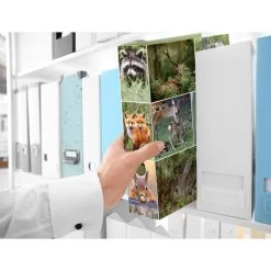 Herma Ordner 7202 Animals, Karton, A4, 7cm, Motiv Waldtiere -Haushaltsprodukte Geschäft 7119246b0eabb300290199128db2d72b623c44b7 ordner herma 7202 animals karton a4