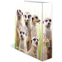 Herma Ordner 19955 Exotische Tiere, Karton, A4, 7cm, Motiv Erdmännchentruppe -Haushaltsprodukte Geschäft 8b5b9c7095b53cdee72caf06c711c9e9776b1f35 ordner herma 19955 exotische tiere karton a4