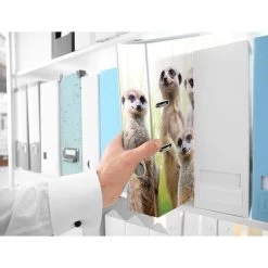 Herma Ordner 19955 Exotische Tiere, Karton, A4, 7cm, Motiv Erdmännchentruppe -Haushaltsprodukte Geschäft 91bbb91ca1d041674298e812bdb4e1e349729dc7 ordner herma 19955 exotische tiere karton a4