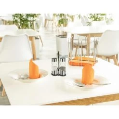 APS Salz-und-Pfefferstreuer Economic, Set, Mit Menage, Aus Edelstahl / Glas, Transparent -Haushaltsprodukte Geschäft b9fa3880dd9a81f0e3b4359af8ddad7e8d685215 salz und pfefferstreuer aps economic