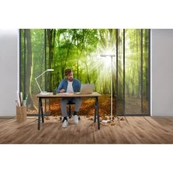 LEDVANCE Schreibtischlampe Panan Desk LED, Dimmbar, App-fähig, Standfuß -Haushaltsprodukte Geschäft bc05d8ff212694318266191b39605fa78c98b975 schreibtischlampe ledvance panan desk led