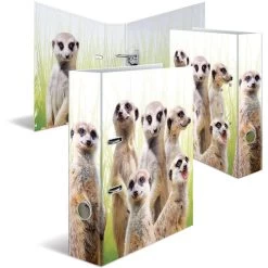 Herma Ordner 19955 Exotische Tiere, Karton, A4, 7cm, Motiv Erdmännchentruppe -Haushaltsprodukte Geschäft d34ac557fe949c21e88a2348e1817faef87b5576 ordner herma 19955 exotische tiere karton a4