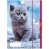 Herlitz Zeichenmappe 10285674, Katze, A3, Karton, 3 Einschlagklappen, Gummizug